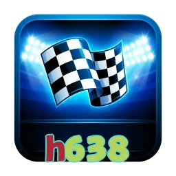 h638